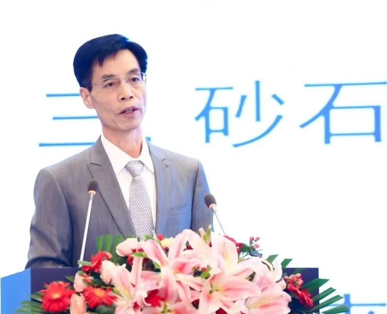 主旨報(bào)告 | 胡幼奕以國(guó)際化視角，提出固廢綜合利用和生態(tài)環(huán)境修復(fù)新思路